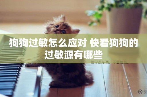 狗狗過敏怎么應對 快看狗狗的過敏源有哪些