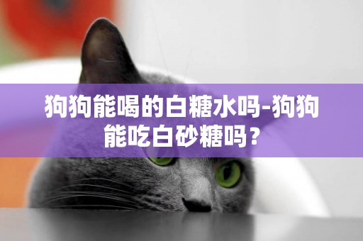 狗狗能喝的白糖水嗎-狗狗能吃白砂糖嗎？