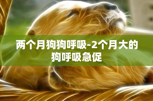 兩個月狗狗呼吸-2個月大的狗呼吸急促