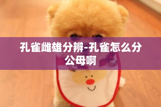 孔雀雌雄分辨-孔雀怎么分公母啊