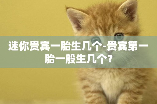 迷你貴賓一胎生幾個-貴賓第一胎一般生幾個？