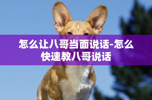 怎么讓八哥當面說話-怎么快速教八哥說話