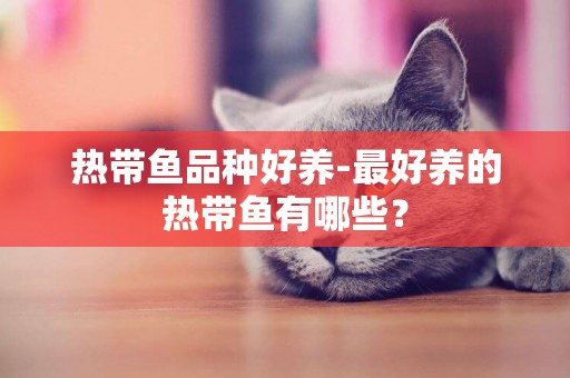 熱帶魚品種好養-最好養的熱帶魚有哪些？