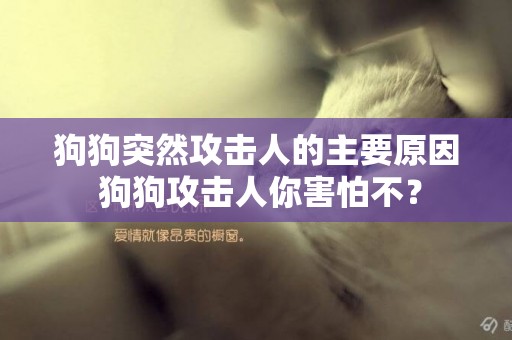 狗狗突然攻擊人的主要原因 狗狗攻擊人你害怕不？