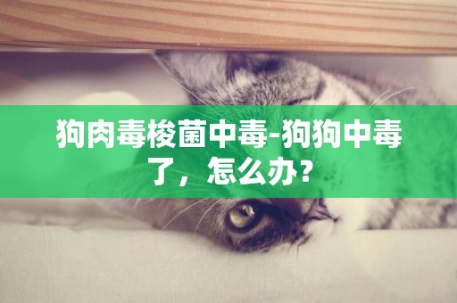 狗肉毒梭菌中毒-狗狗中毒了，怎么辦？