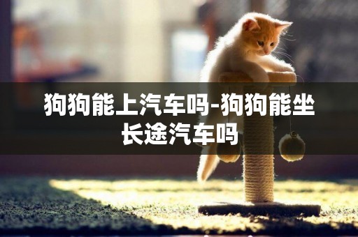 狗狗能上汽車嗎-狗狗能坐長途汽車嗎