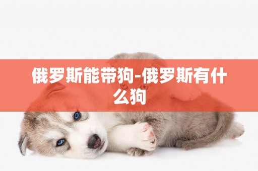俄羅斯能帶狗-俄羅斯有什么狗