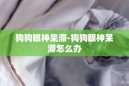 狗狗眼神呆滯-狗狗眼神呆滯怎么辦