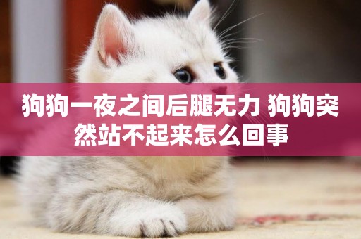 狗狗一夜之間后腿無力 狗狗突然站不起來怎么回事