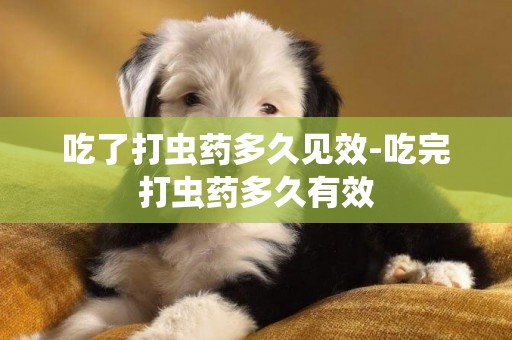 吃了打蟲藥多久見效-吃完打蟲藥多久有效