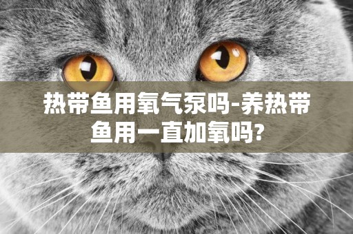 熱帶魚用氧氣泵嗎-養熱帶魚用一直加氧嗎?