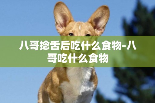八哥捻舌后吃什么食物-八哥吃什么食物