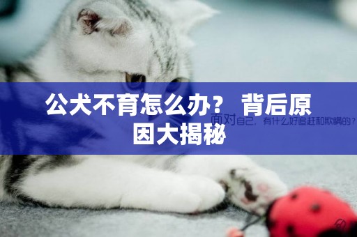 公犬不育怎么辦？ 背后原因大揭秘