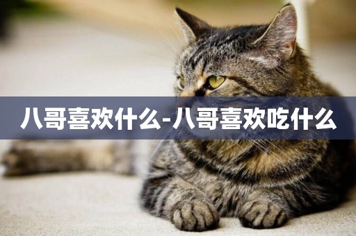 八哥喜歡什么-八哥喜歡吃什么