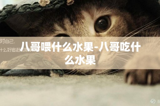八哥喂什么水果-八哥吃什么水果