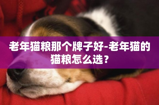老年貓糧那個牌子好-老年貓的貓糧怎么選？