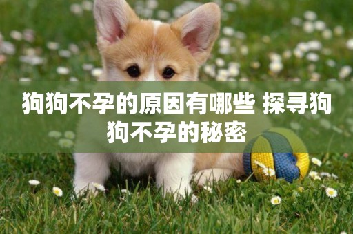 狗狗不孕的原因有哪些 探尋狗狗不孕的秘密