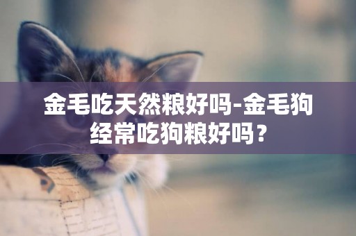 金毛吃天然糧好嗎-金毛狗經常吃狗糧好嗎？