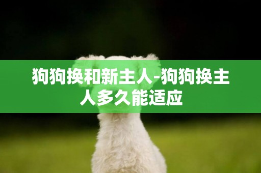狗狗換和新主人-狗狗換主人多久能適應