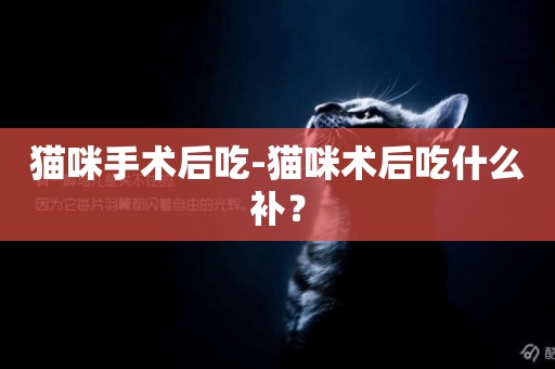 貓咪手術后吃-貓咪術后吃什么補？