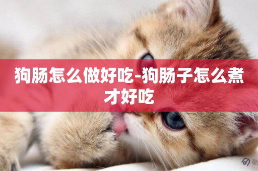 狗腸怎么做好吃-狗腸子怎么煮才好吃