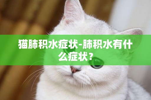 貓肺積水癥狀-肺積水有什么癥狀？