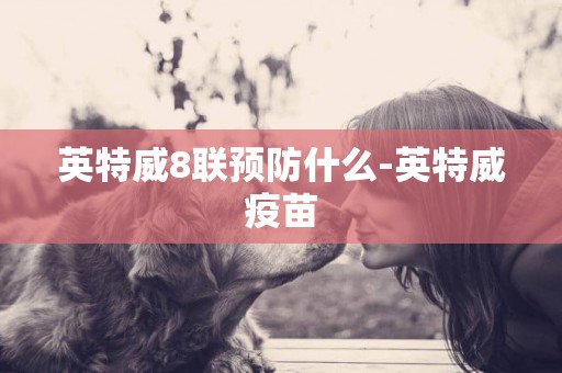 英特威8聯預防什么-英特威疫苗