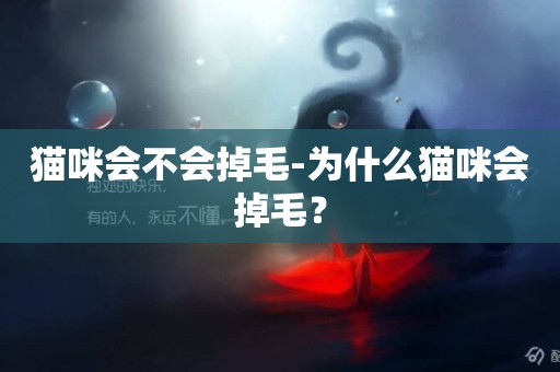 貓咪會不會掉毛-為什么貓咪會掉毛？