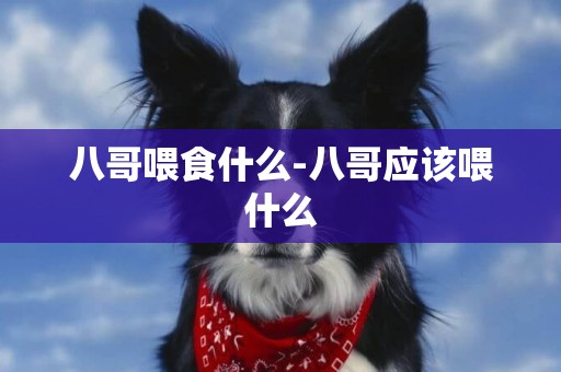 八哥喂食什么-八哥應該喂什么