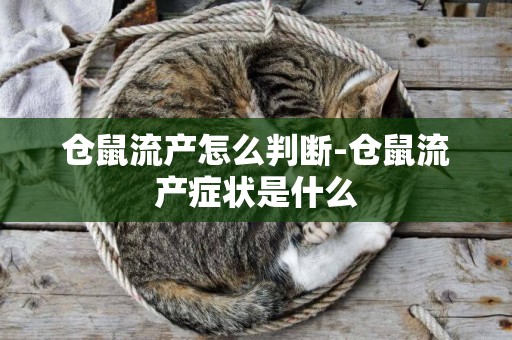 倉鼠流產怎么判斷-倉鼠流產癥狀是什么