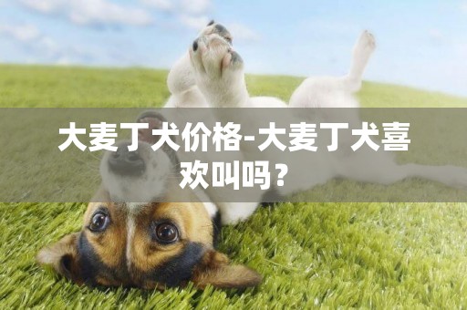 大麥丁犬價格-大麥丁犬喜歡叫嗎？