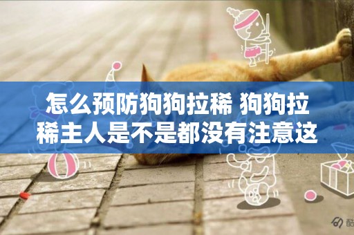 怎么預防狗狗拉稀 狗狗拉稀主人是不是都沒有注意這些呢？