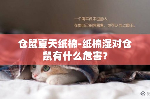 倉鼠夏天紙棉-紙棉濕對倉鼠有什么危害？