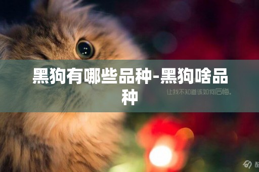 黑狗有哪些品種-黑狗啥品種