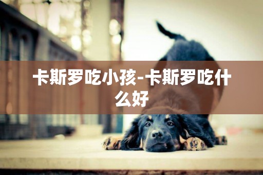 卡斯羅吃小孩-卡斯羅吃什么好