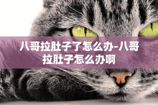 八哥拉肚子了怎么辦-八哥拉肚子怎么辦啊