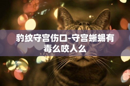 豹紋守宮傷口-守宮蜥蜴有毒么咬人么