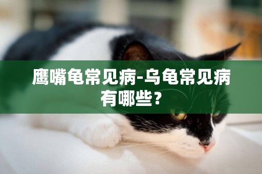 鷹嘴龜常見病-烏龜常見病有哪些？