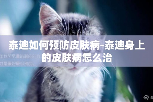 泰迪如何預防皮膚病-泰迪身上的皮膚病怎么治