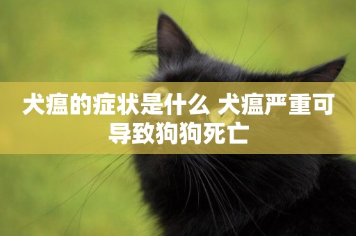 犬瘟的癥狀是什么 犬瘟嚴重可導致狗狗死亡