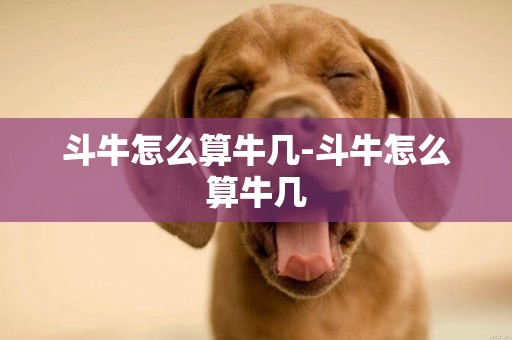 斗牛怎么算牛幾-斗牛怎么算牛幾