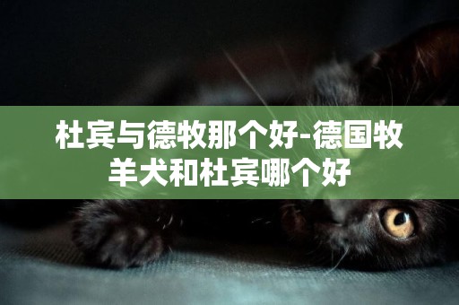 杜賓與德牧那個好-德國牧羊犬和杜賓哪個好
