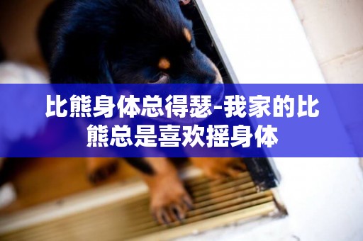 比熊身體總得瑟-我家的比熊總是喜歡搖身體