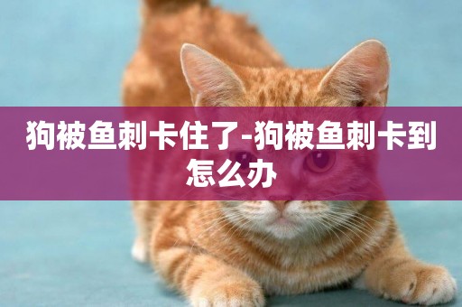 狗被魚刺卡住了-狗被魚刺卡到怎么辦