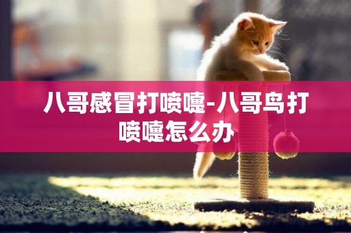 八哥感冒打噴嚏-八哥鳥打噴嚏怎么辦