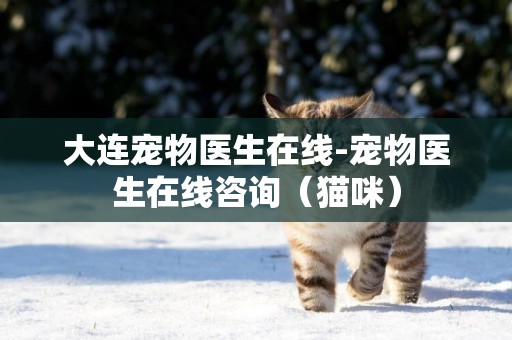 大連寵物醫生在線-寵物醫生在線咨詢（貓咪）
