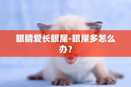眼睛愛長眼屎-眼屎多怎么辦？
