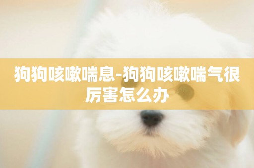 狗狗咳嗽喘息-狗狗咳嗽喘氣很厲害怎么辦