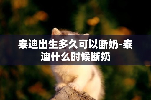 泰迪出生多久可以斷奶-泰迪什么時候斷奶