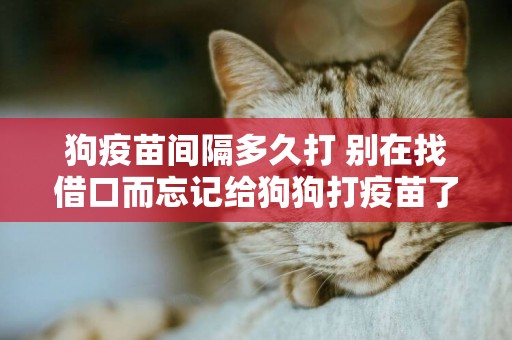 狗疫苗間隔多久打 別在找借口而忘記給狗狗打疫苗了！
